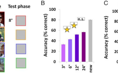 En la memoria visual, el tamaño importa