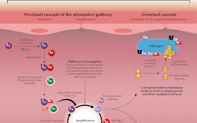 Danicopan (ALXN2040) posible tratamiento oral para la DMAE seca (Atrofia Geográfica)