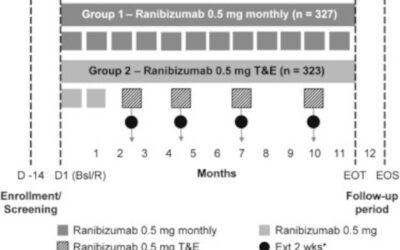Inyecciones intravítreas anti-VEGF y la pauta Tratar y extender