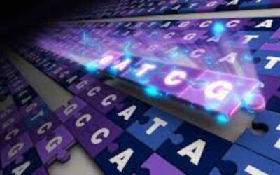 Primera secuencia completa y sin tramos vacíos de un genoma humano