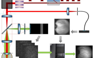 Un dispositivo de diagnóstico por imágenes para estudiar la bioquímica de la visión