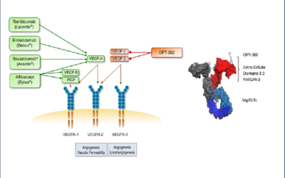 Eficacia y seguridad de OPT-302 en combinación con ranibizumab para la vasculopatía coroidea polipoidea