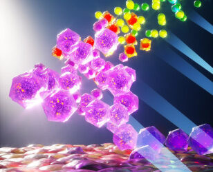 Optimización de las células madre para tratar la DMAE