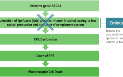 Ensayo clínico de fase 3 de Emixustat en pacientes con la enfermedad de Stargardt