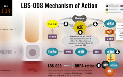 Resultados 12 meses ensayo clínico Tinlarebant (LBS-008) para adolescentes con Stargardt1