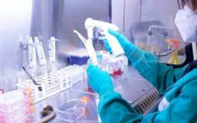 Sylentis inicia ensayo de fase II de SYL1801 para la Degeneración Macular Asociada a la Edad (DMAE) tipo neovascular