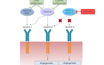 Ensayo con OPT-302, un inhibidor de VEGF-C/D para la degeneración macular neovascular asociada a la edad (nDMAE)