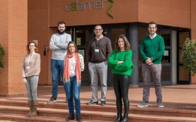 Científicos del Grupo de Degeneración de la Retina de CABIMER trabajarán en la producción de bio-parches maculares