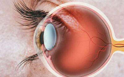 Una revisión exhaustiva de 87 programas clínicos de tratamientos para la retina