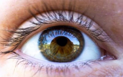 Bionic Sight anuncia resultados positivos de la terapia optogenética BS01 para Retinosis Pigmentaria