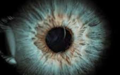 Fuentes y caracterización de células madre en el desarrollo de productos celulares para el tratamiento de enfermedades retinianas: el Informe Town Hall del NEI