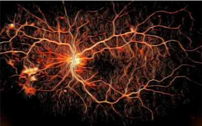 Primeros participantes del ensayo clínico fase 1b/2 AMARONE para edema macular diabético (EMD) y degeneración macular húmeda relacionada con la edad (DMAE)