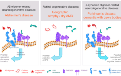 Estudio MAGNIFY de CT1812 oral para la atrofia geográfica secundaria a DMAE seca