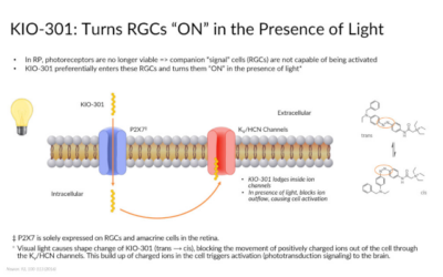 El fotointerruptor de molécula pequeña KIO-301 de Kiora obtiene mejoras significativas en la visión de pacientes ciegos con retinosis pigmentaria