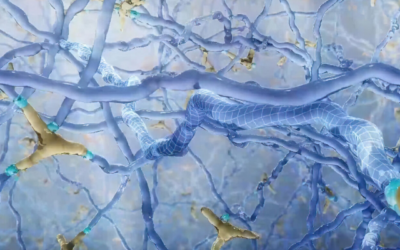 Ensayo clínico pivotal de OTX-TKI para DMAE neovascular