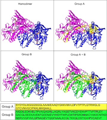 Elovanoide-N34 modula TXNRD1 clave en la protección para enfermedades degenerativas del cerebro y ojo