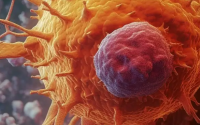 SIGLEC: un ensayo clínico de fase 2 de AVD-104 de Aviceda en pacientes con DMAE seca (Atrofia Geográfica)