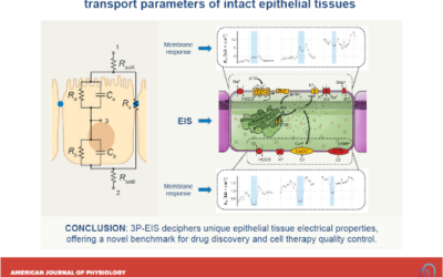 Una técnica innovadora optimiza el control de calidad de células de laboratorio para tratar la DMAE