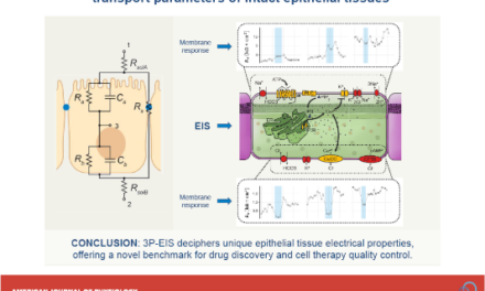 Una técnica innovadora optimiza el control de calidad de células de laboratorio para tratar la DMAE