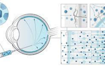 4DMT anuncia resultados alentadores del ensayo clínico de su terapia génica 4D-150 para DMAE húmeda