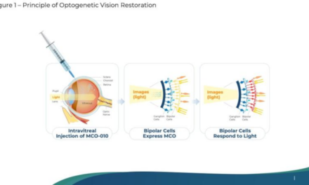 La terapia génica MCO-010 para la retinosis pigmentaria obtiene la aprobación de las autoridades reguladoras