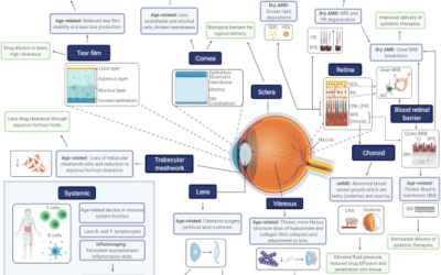 MACUSTAR– DMAE Intermedia. Desarrollo de nuevas variables para ensayos clínicos con pacientes