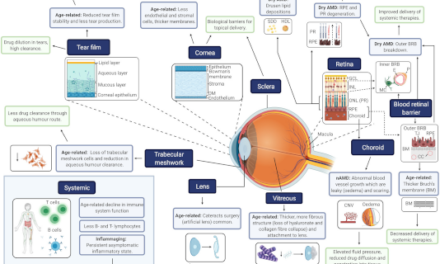 MACUSTAR– DMAE Intermedia. Desarrollo de nuevas variables para ensayos clínicos con pacientes
