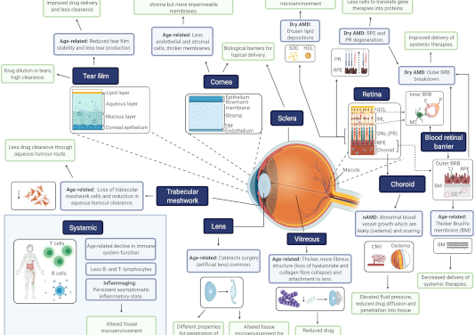 MACUSTAR– DMAE Intermedia. Desarrollo de nuevas variables para ensayos clínicos con pacientes