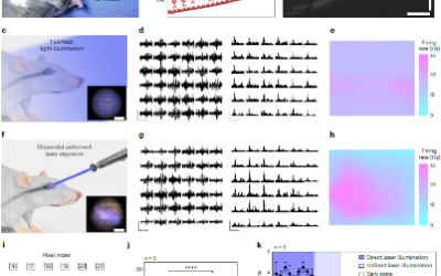 Avances en restauración visual: Proyecto de prótesis retiniana con microelectrodos de metal líquido