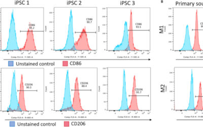 Una «fábrica de monocitos» facilitará el estudio de enfermedades oculares ligadas al sistema inmunológico