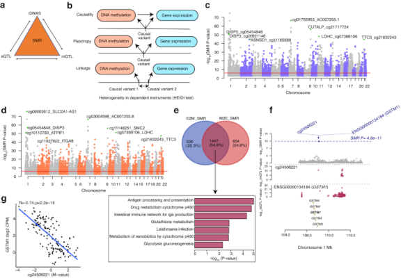 Un estudio del Instituto Nacional del Ojo (NEI) identifica un ‘punto de partida’ para el desarrollo de la DMAE