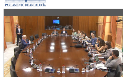 Aportaciones de la Asociación Mácula Retina sobre la Propuesta de Ley de Gratuidad de Productos Ópticos y de Salud Visual