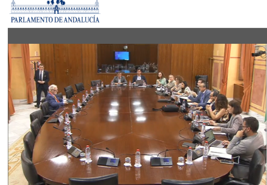 Aportaciones de la Asociación Mácula Retina sobre la Propuesta de Ley de Gratuidad de Productos Ópticos y de Salud Visual