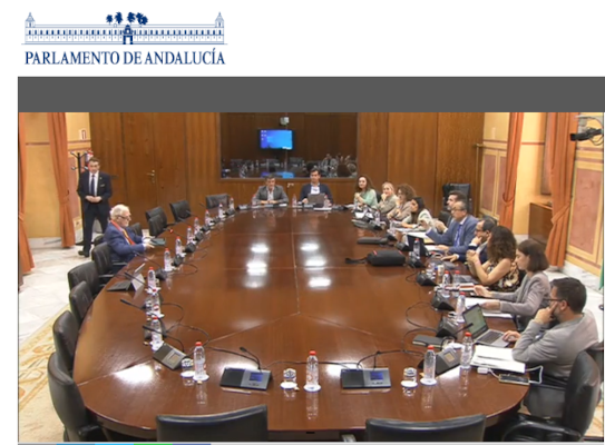 Aportaciones de la Asociación Mácula Retina sobre la Propuesta de Ley de Gratuidad de Productos Ópticos y de Salud Visual