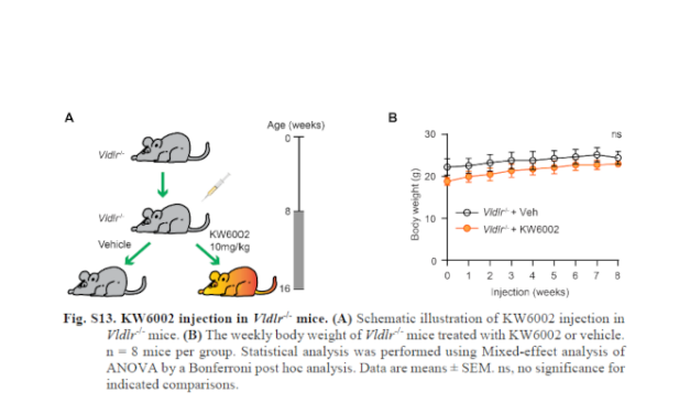Científicos del MCG identifican un nuevo objetivo de tratamiento para la DMAE (Adora2a)