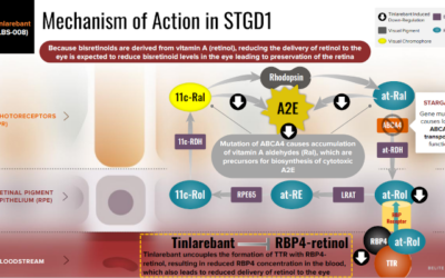 Belite Bio administra Tinlarebant al primer paciente en fase 2/3 del ensayo Dragon II para Stargardt