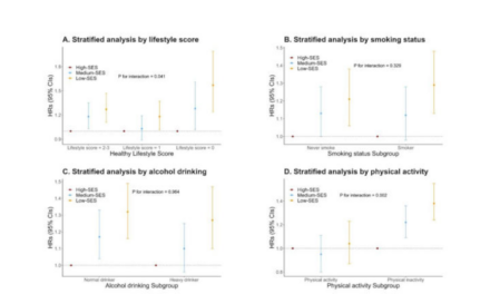 Un estudio revela la relación entre la desigualdad socioeconómica y el riesgo de DMAE