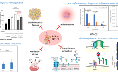 Avances en terapia génica con OCU410 para la atrofia geográfica (DMAE seca avanzada)