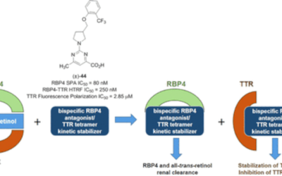 El National Eye Institute financia una molécula pequeña con doble especificidad como terapia para la DMAE seca (atrofia geográfica)