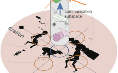 “El desorden visual” altera el flujo de información en el cerebro