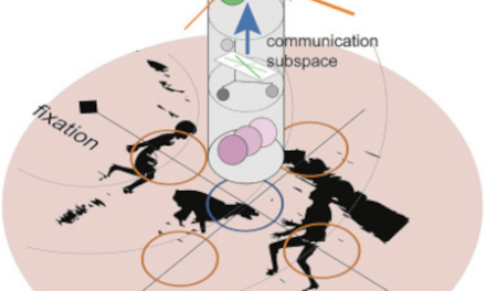“El desorden visual” altera el flujo de información en el cerebro