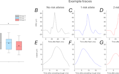 La onda i se vincula con una variante genética asociada al riesgo de miopía