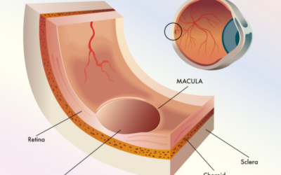La FDA aprueba ensayo clínico de VG801 para tratar la enfermedad de Stargardt