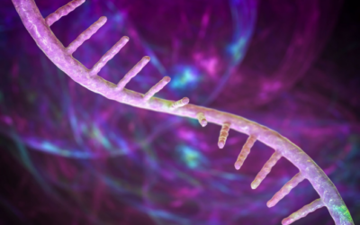 Ultevursen para el Síndrome de Usher Tipo 2A