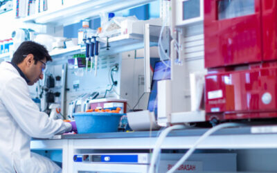 Inicia terapia celular experimental OpCT-001 para el tratamiento de enfermedades primarias de los fotorreceptores