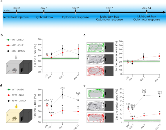 Ziapin2, una molécula que restaura la visión en modelos preclínicos de retinosis pigmentaria y DMAE
